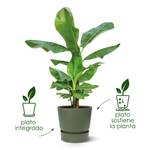 greenville round 20cm leaf green